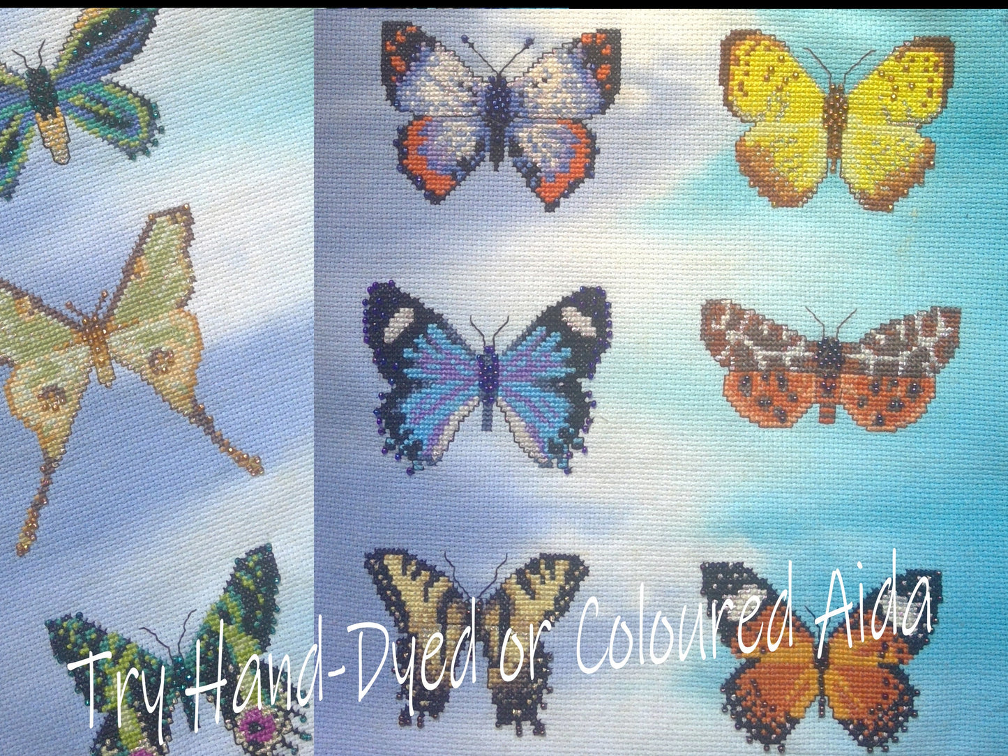 Madagascan Sunset Moth Cross Stitch Pattern PDF, X Stitch pattern Instant Download, Insect embroidery tutorial, Embellished x-stitch PDF