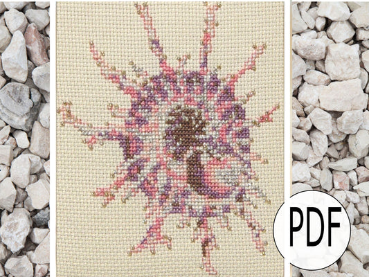 Delphinula Cross Stitch Pattern PDF,  X Stitch pattern Instant Download, Shell embroidery tutorial, Embellished x-stitch sampler PDF